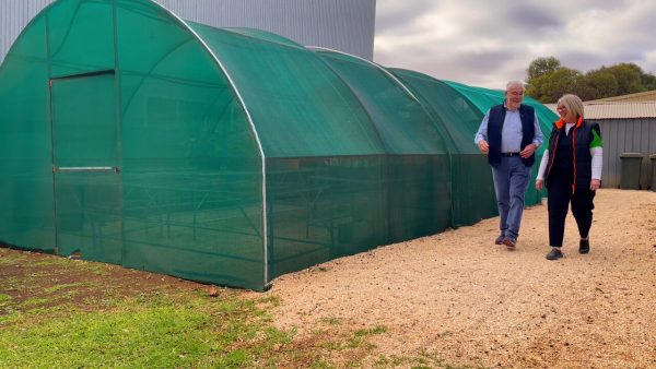 Spotlight on Lewis Horticulture