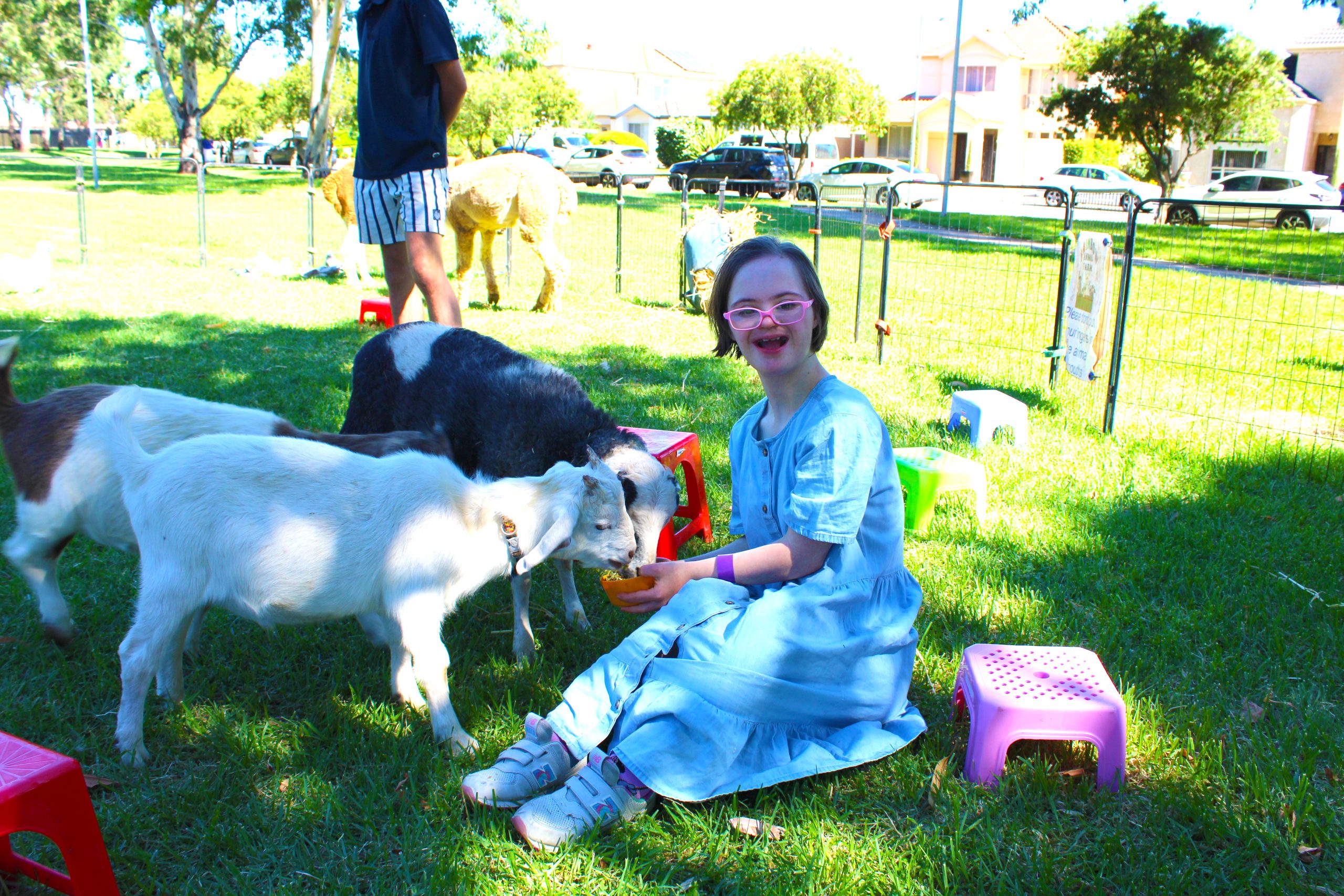 young girl sits on grass feeding two goats out of her hand.