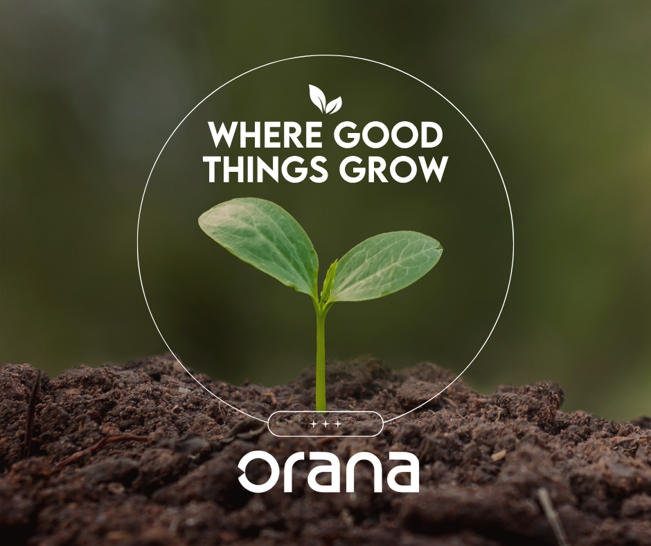 Small green plant with two leaves growing up from dirt underneath with the words 'where good things grow' in white text above